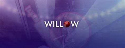 willow cricket login